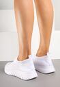 Sneakers Cleandra Albi