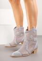 Botine Albastre