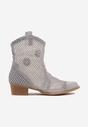 Botine Albastre