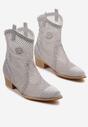 Botine Albastre