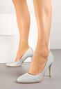 Pantofi stiletto Emauri Argintii