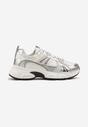 Sneakers Deylisse Argintii