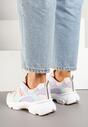Sneakers Deylisse Culori mixte