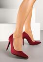 Pantofi stiletto Doviria Bordo