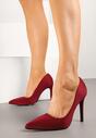 Pantofi stiletto Doviria Bordo