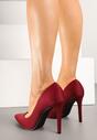 Pantofi stiletto Doviria Bordo