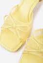 Żółte Klapki na Szpilce z Siateczkową Cholewką i Kokardą Brefia