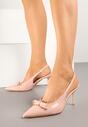 Pantofi stiletto Dorozia Roz