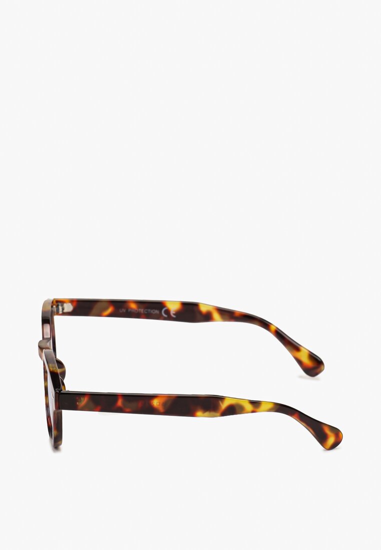 Ciemnobrązowe Okrągłe Okulary Przeciwsłoneczne Mirtla