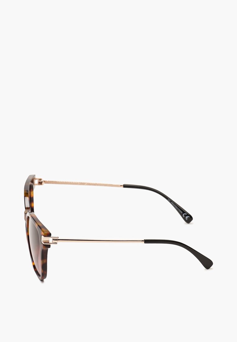 Ciemnobrązowe Klasyczne Okulary Przeciwsłoneczne z Metalicznymi Zausznikami Ainude