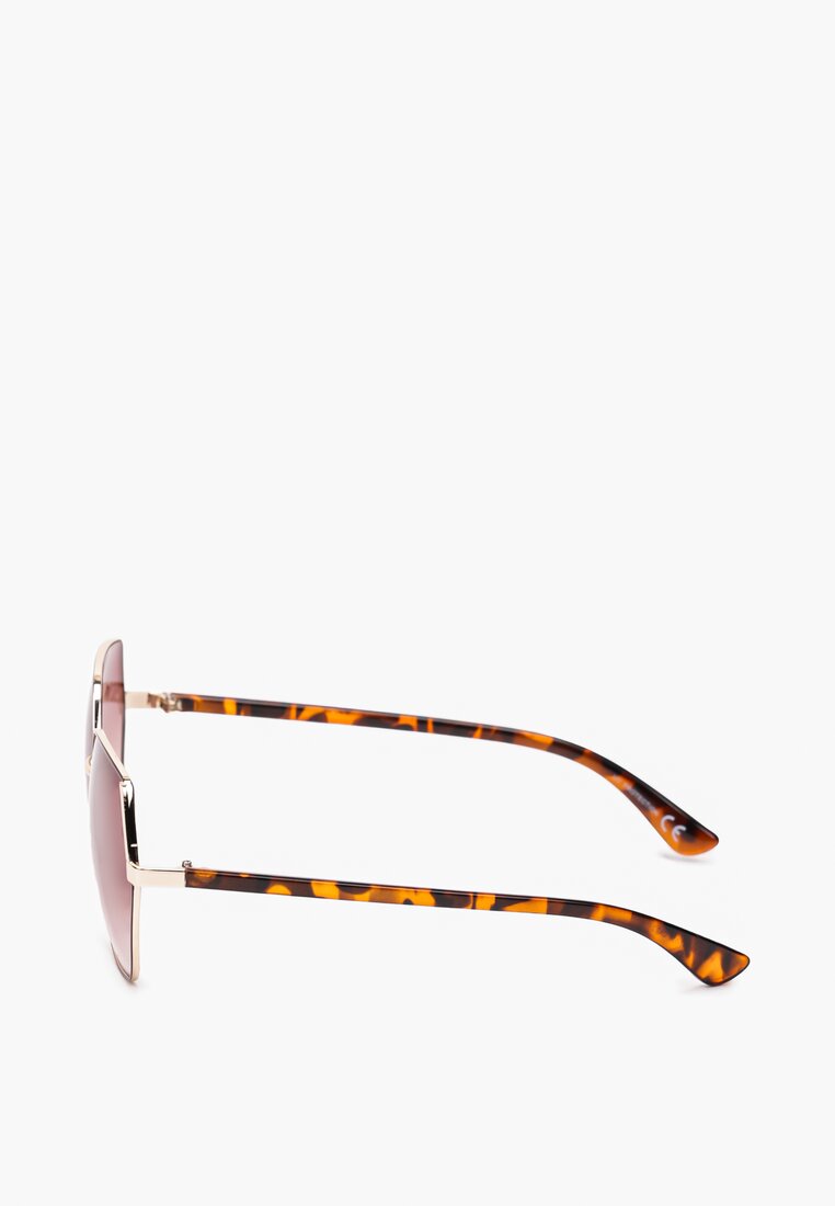 Brązowe Okulary Przeciwsłoneczne w Casualowym Stylu Alipphila