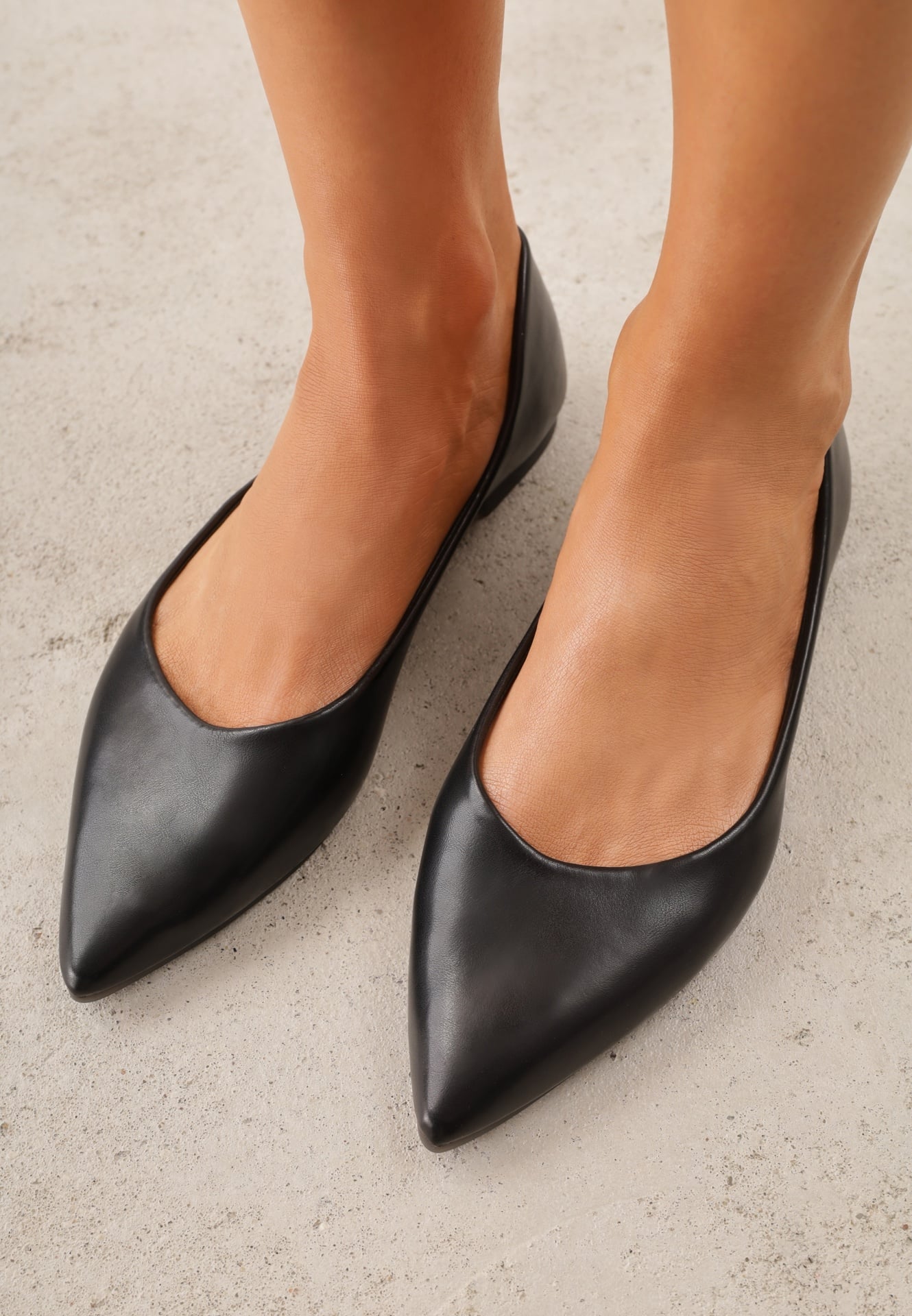 Balerini Lagenaria Negri